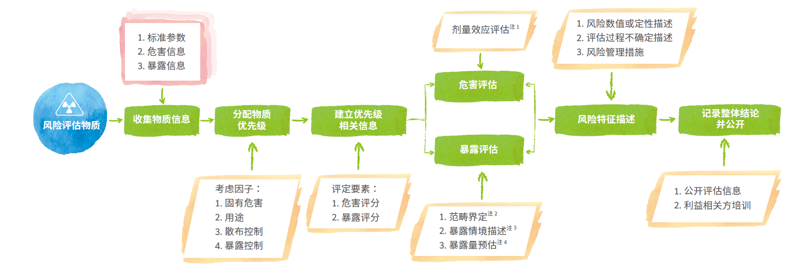 有害物质风险评估流程